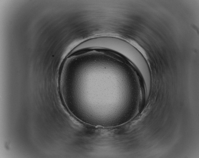 X0000091861005200709121326