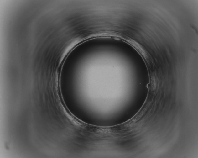 X0000091861006200709121326