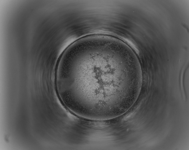 X0000091861007200709121326