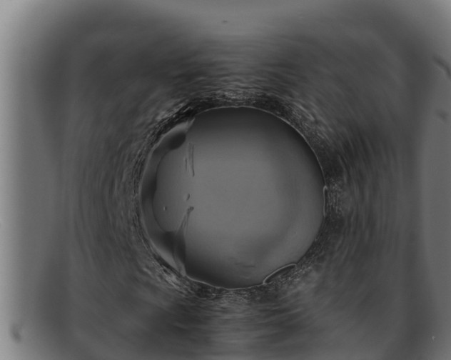 X0000091861009200709121325