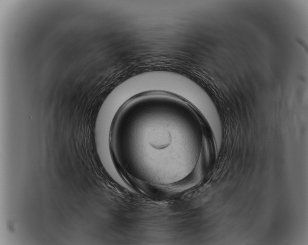 X0000091861010200709121325