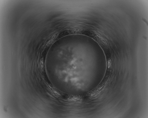 X0000091861011200709121325