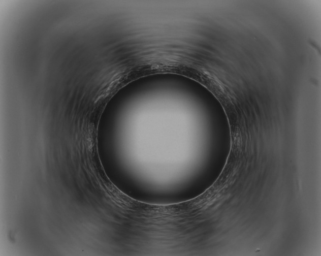 X0000091861012200709121325