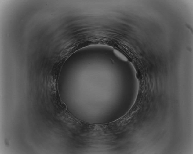 X0000091861013200709121325