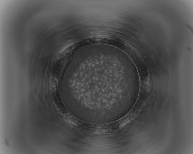 X0000091861014200709121325