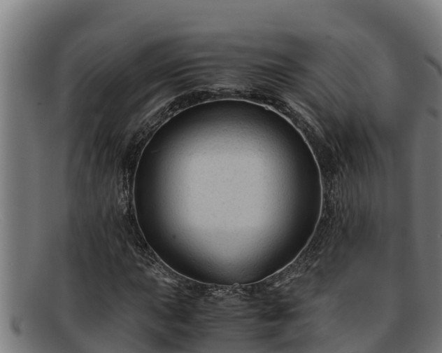 X0000091861015200709121325