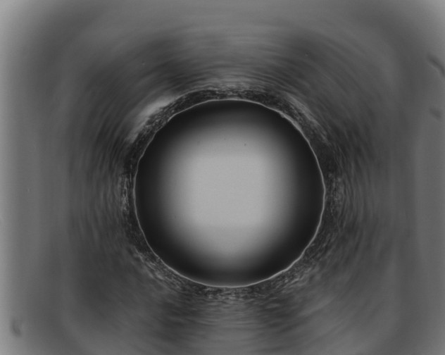 X0000091861016200709121325