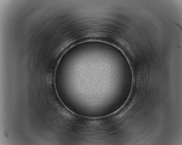 X0000091861017200709121325