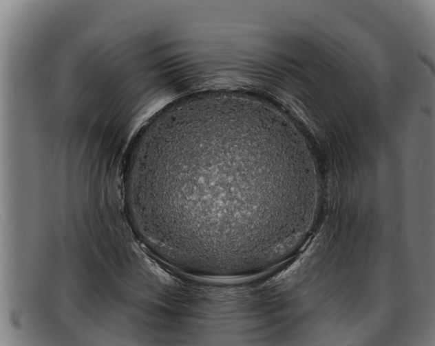 X0000091861018200709121325