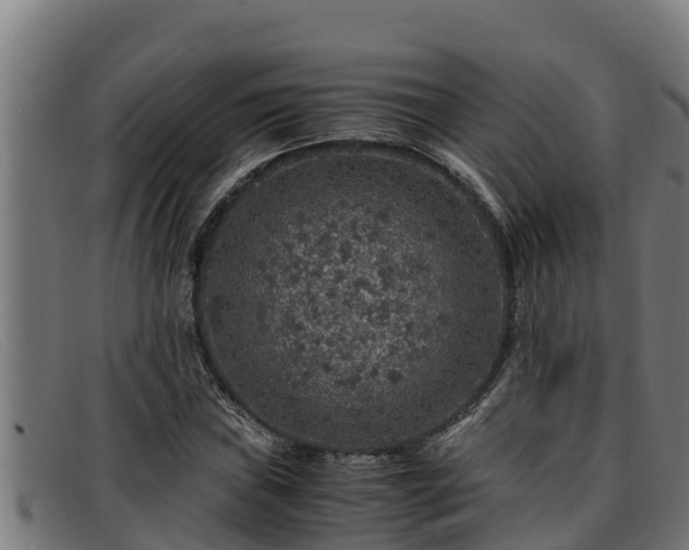 X0000091861019200709121325