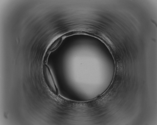 X0000091861020200709121325