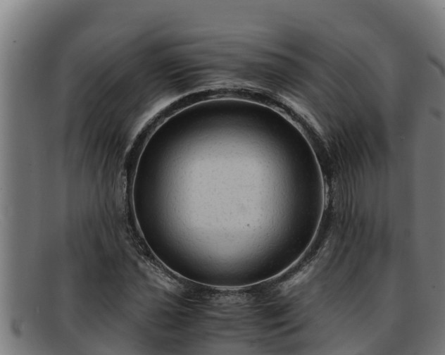 X0000091861021200709121326