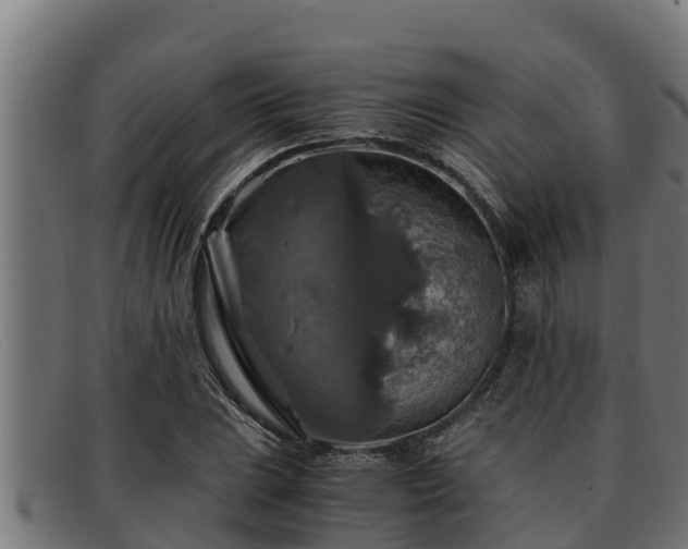 X0000091861023200709121326