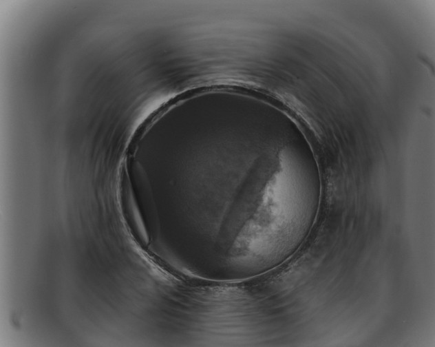 X0000091861024200709121326