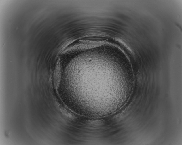 X0000091861025200709121326