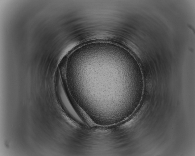 X0000091861026200709121326