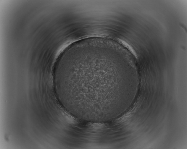 X0000091861027200709121326