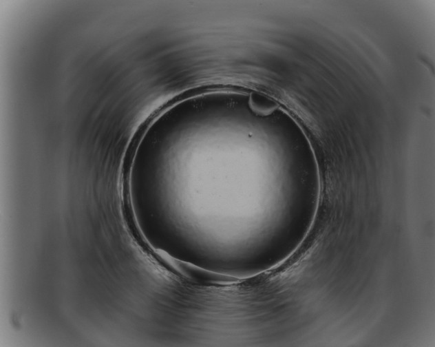 X0000091861028200709121326