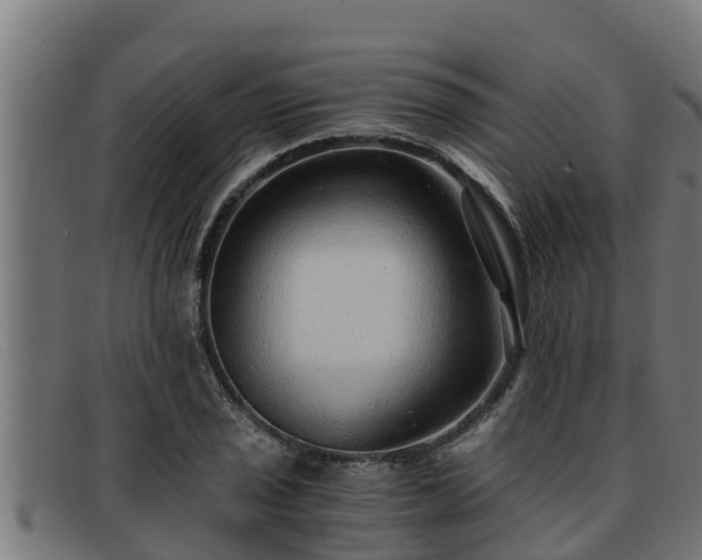 X0000091861029200709121326