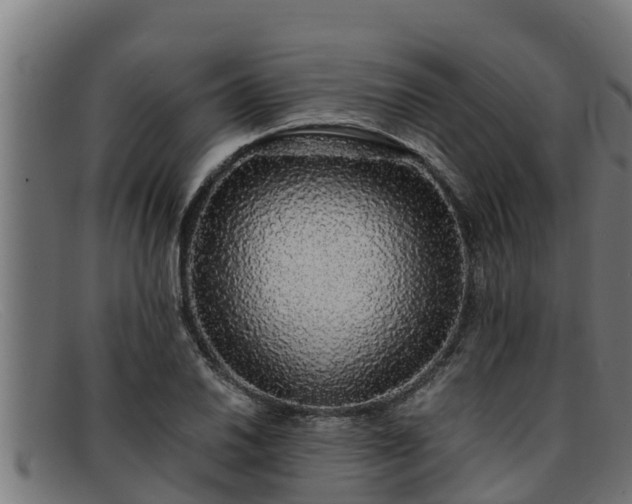 X0000091861030200709121326