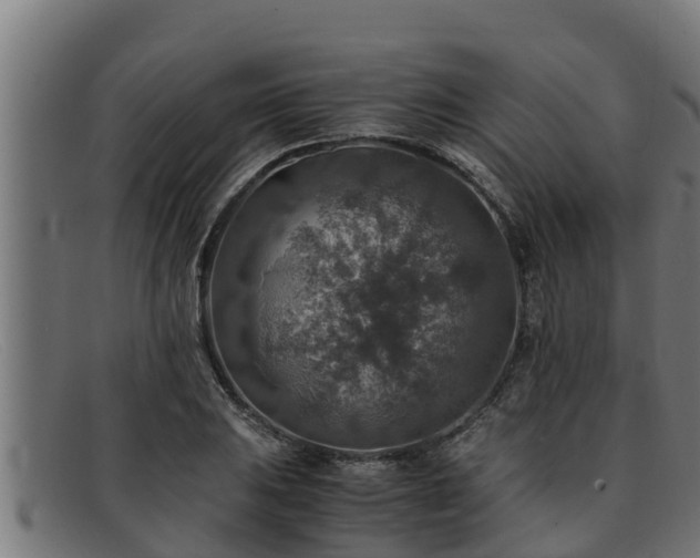 X0000091861031200709121326