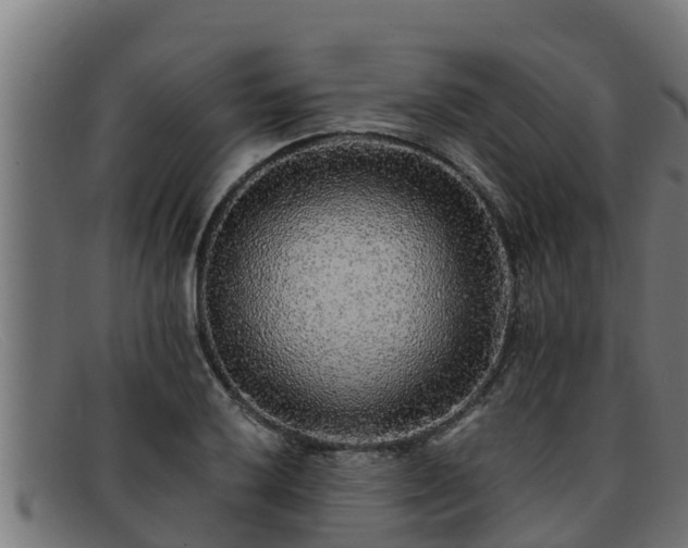 X0000091861032200709121326