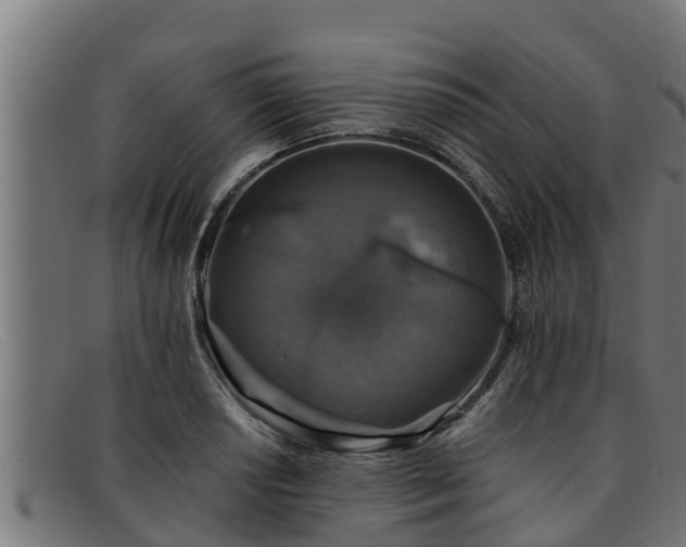 X0000091861034200709121326