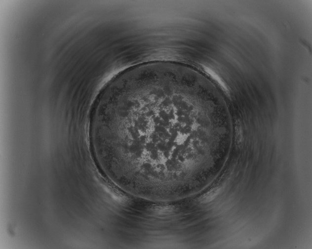 X0000091861035200709121326