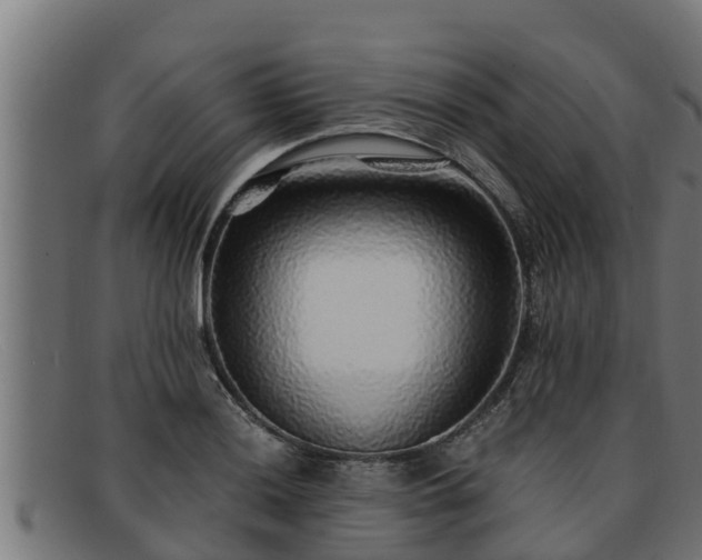 X0000091861036200709121326