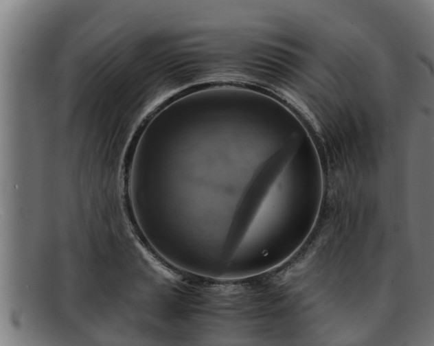 X0000091861037200709121326