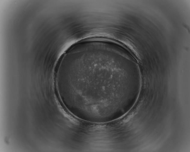 X0000091861038200709121326