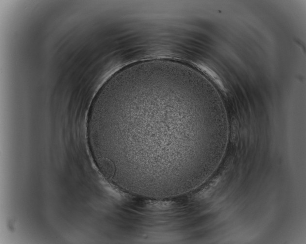 X0000091861039200709121326