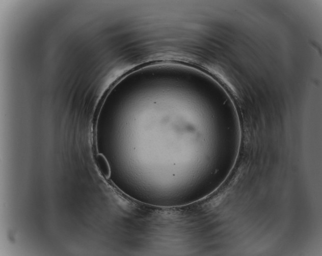 X0000091861040200709121326