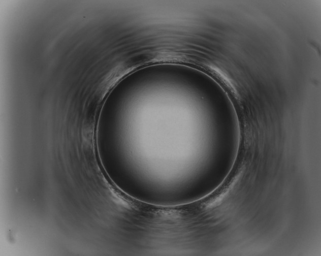 X0000091861041200709121326