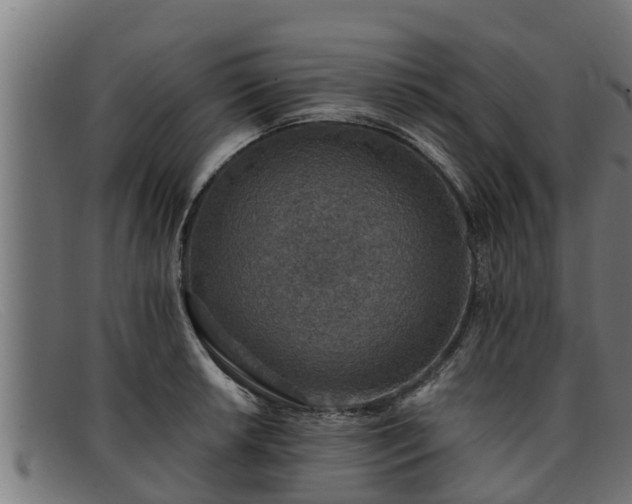 X0000091861042200709121326