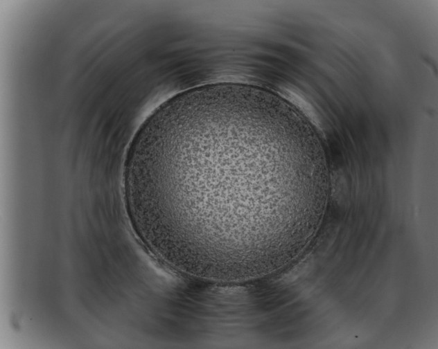 X0000091861043200709121326