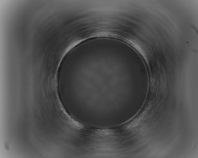 X0000091861045200709121326