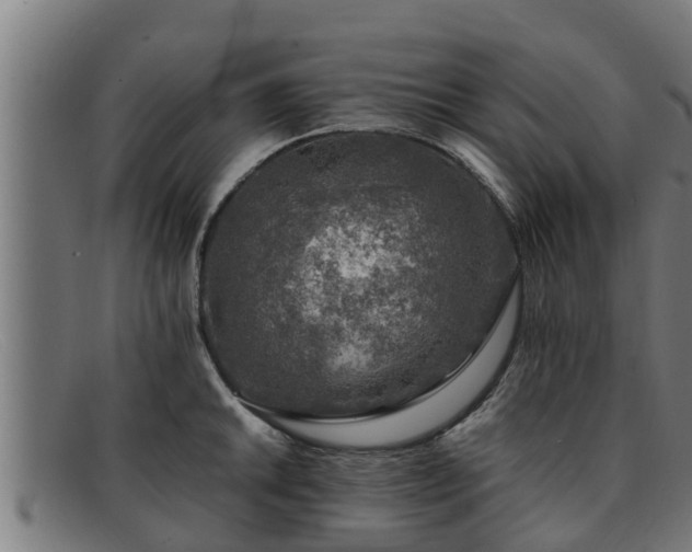 X0000091861046200709121326