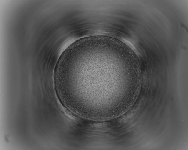 X0000091861047200709121326