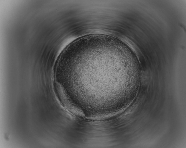 X0000091861048200709121326