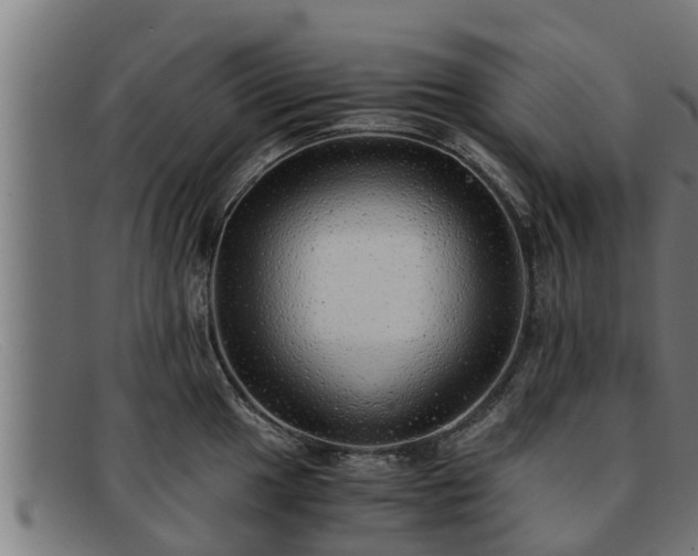 X0000091861049200709121326