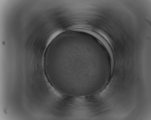 X0000091861050200709121326