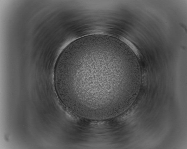 X0000091861051200709121326