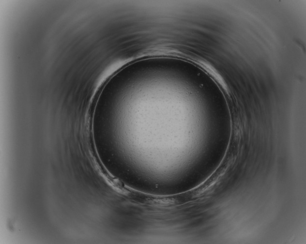 X0000091861053200709121326