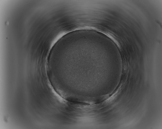 X0000091861054200709121326