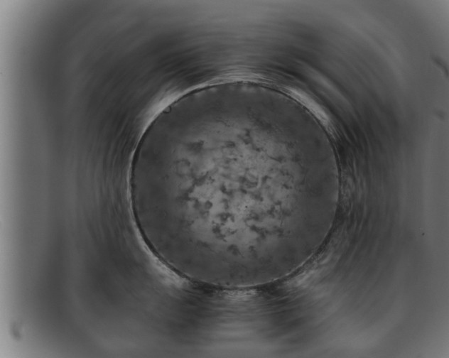 X0000091861055200709121326