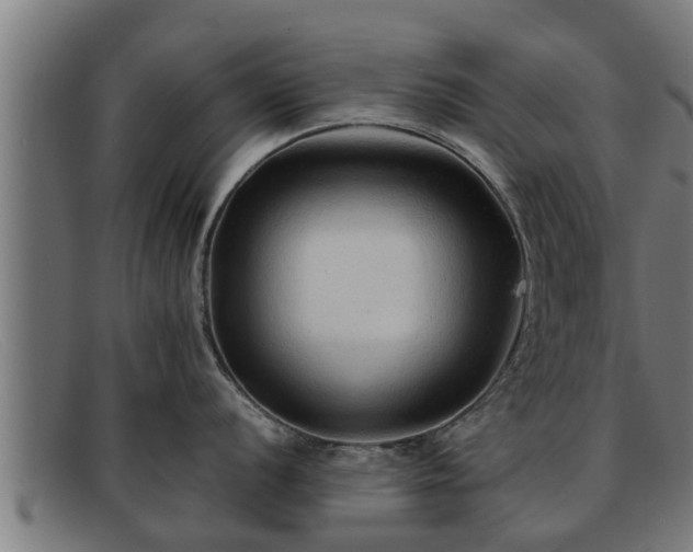 X0000091861056200709121326