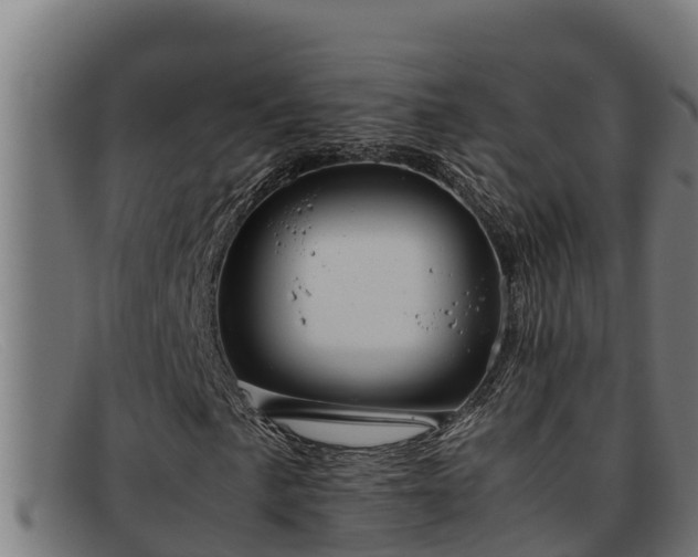 X0000091861057200709121325