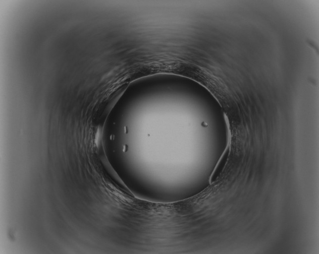 X0000091861058200709121325