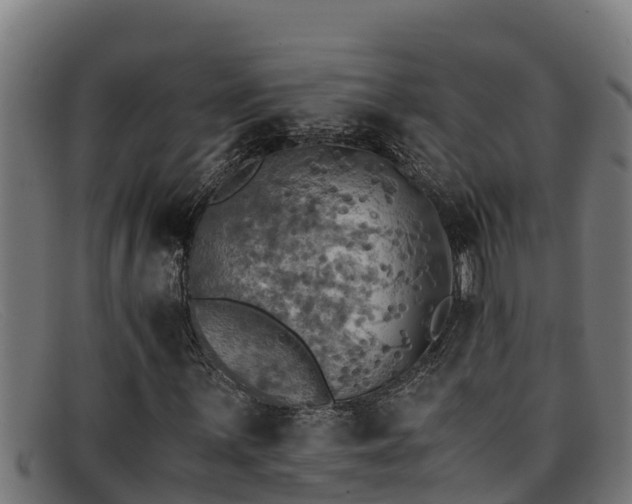 X0000091861059200709121325